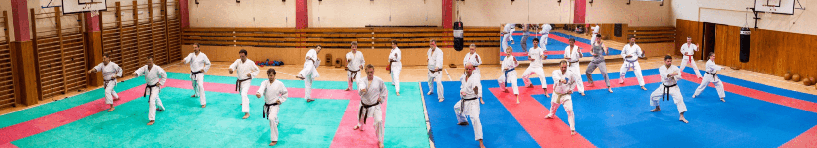 dojo_new-min
