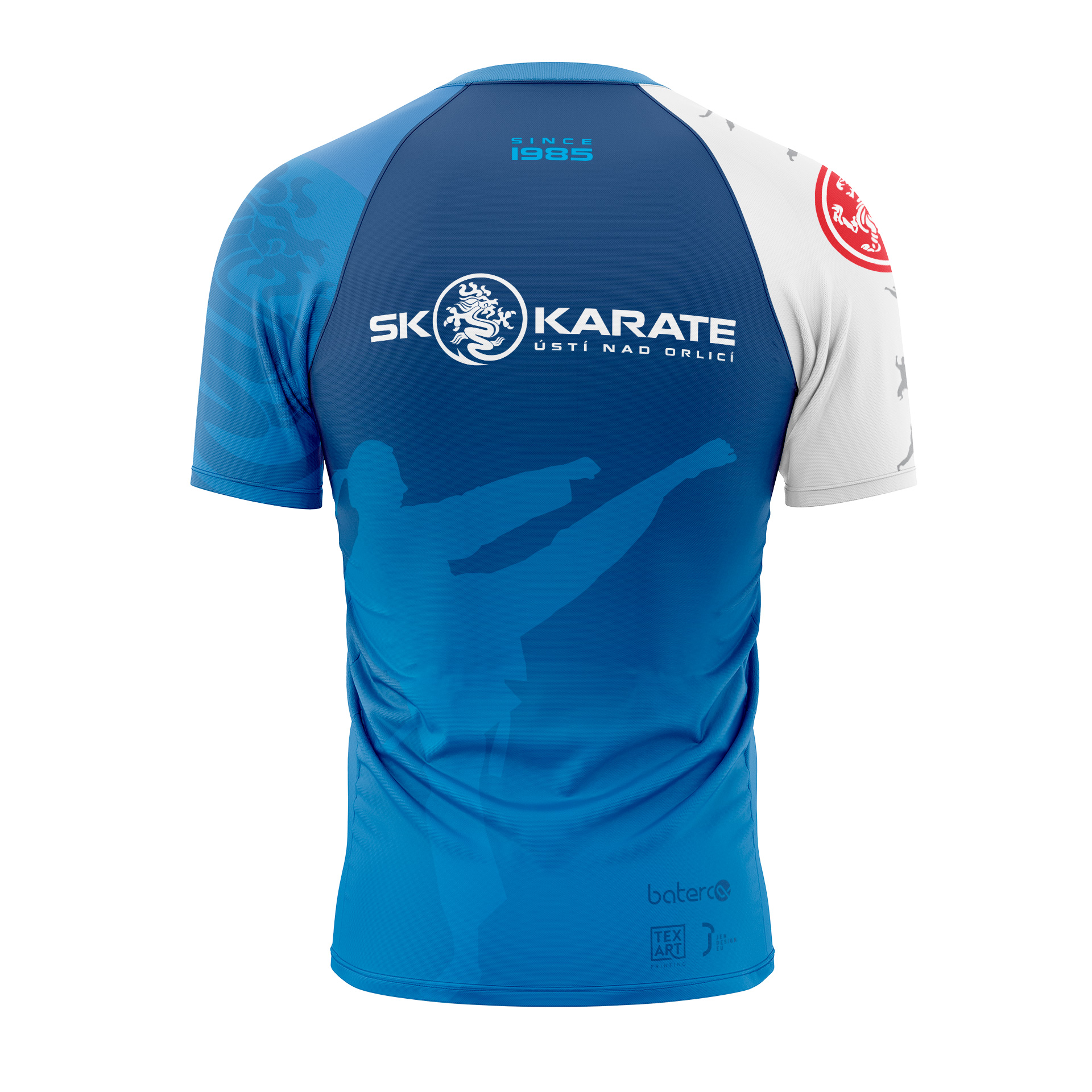 Karate_back