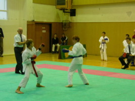 P1000133