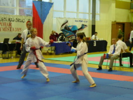 P1000225