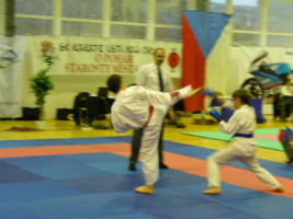 P1000325