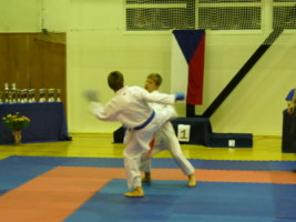 P1000390