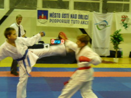 P1000396