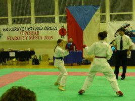 P1000412