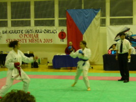 P1000415