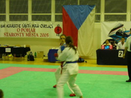 P1000417