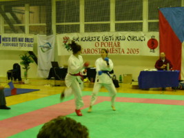 P1000419