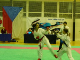 P1000428