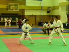 P1000454