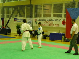 P1000456