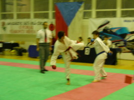 P1000460