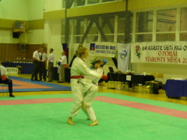 P1000478