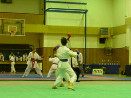 P1000490