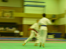 P1000491