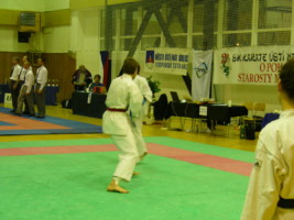 P1000504
