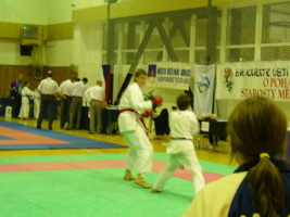 P1000528