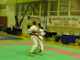 P1000530