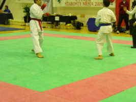 P1000545