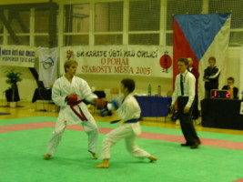 P1000546