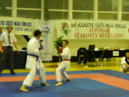 P1000582