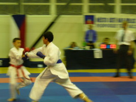 P1000587
