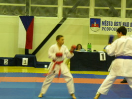 P1000588