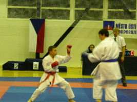 P1000598