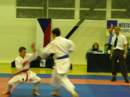 P1000599