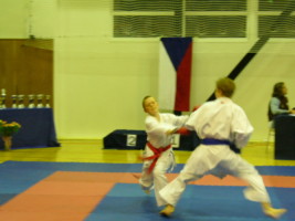 P1000606