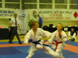 P1000612