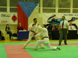 P1000731