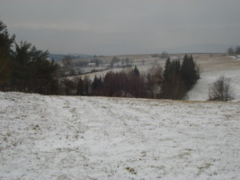 DSC00385