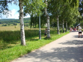 DSC00238