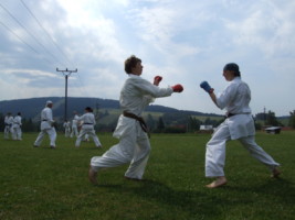 DSCF4963