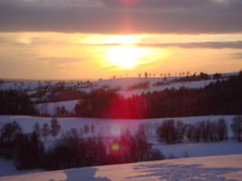 DSC00597