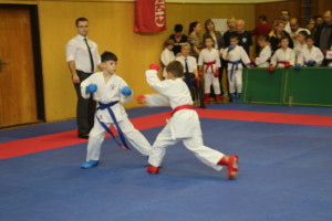 IMG 8261