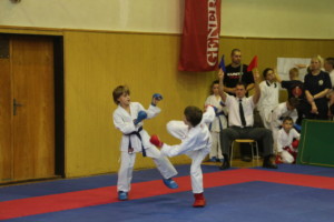 IMG 8281