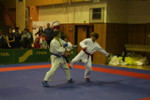 IMG 8371