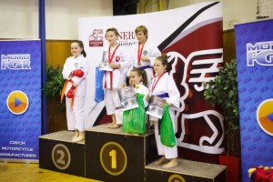 14. ročník turnaje KARATE