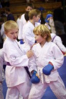 14. ročník turnaje KARATE