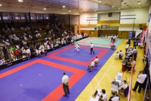 14. ročník turnaje KARATE