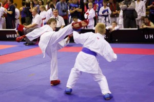 14. ročník turnaje KARATE