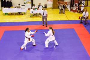 14. ročník turnaje KARATE