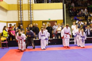 14. ročník turnaje KARATE