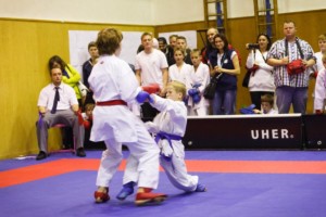 14. ročník turnaje KARATE