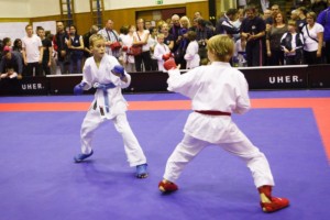 14. ročník turnaje KARATE