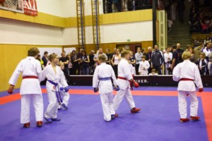 14. ročník turnaje KARATE