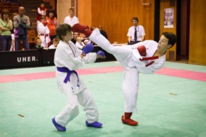 14. ročník turnaje KARATE