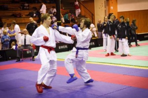 14. ročník turnaje KARATE