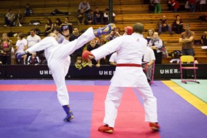 14. ročník turnaje KARATE